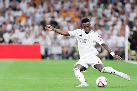 市场专家建 市场专家建