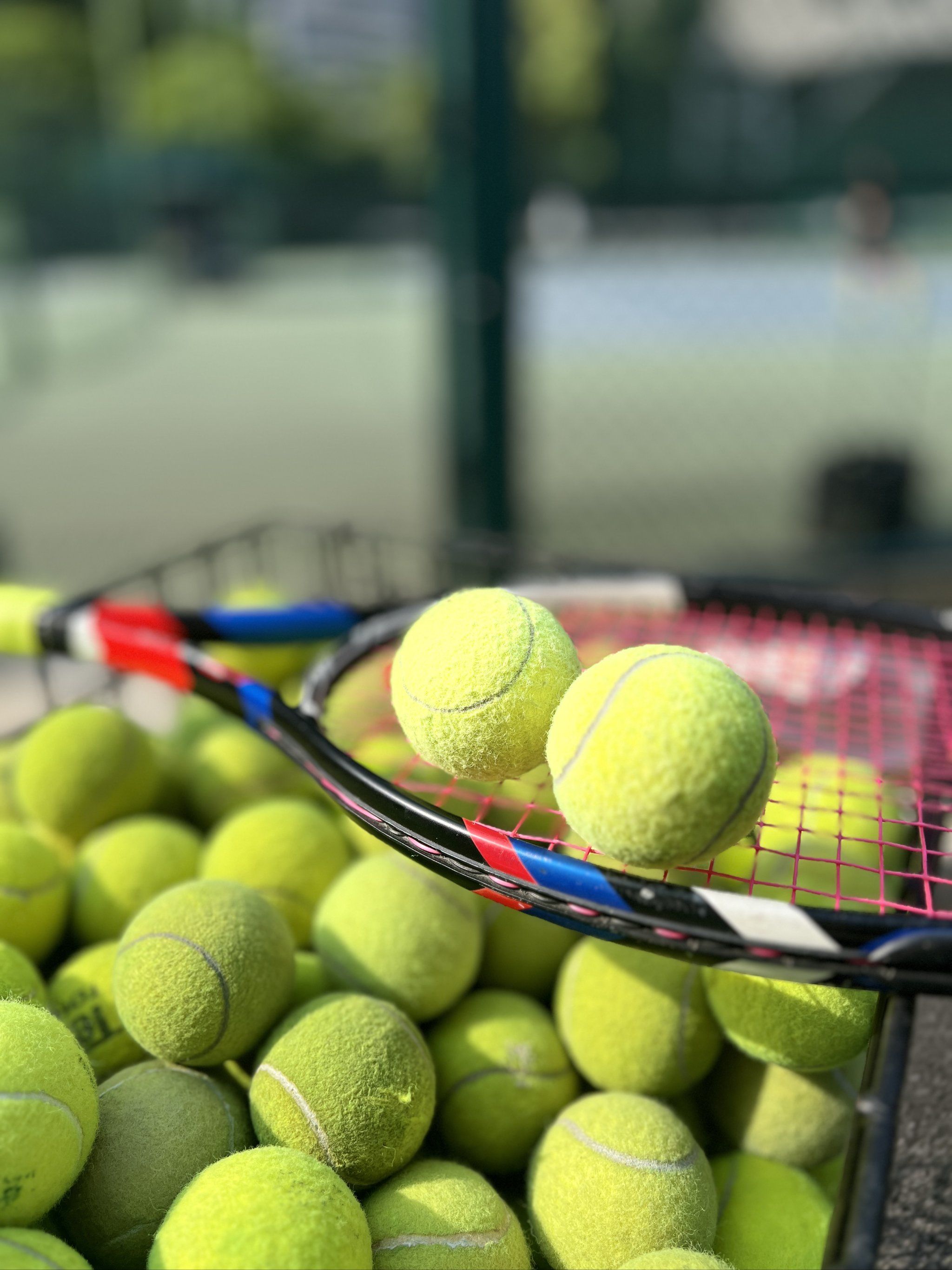 每位选手都 每位选手都